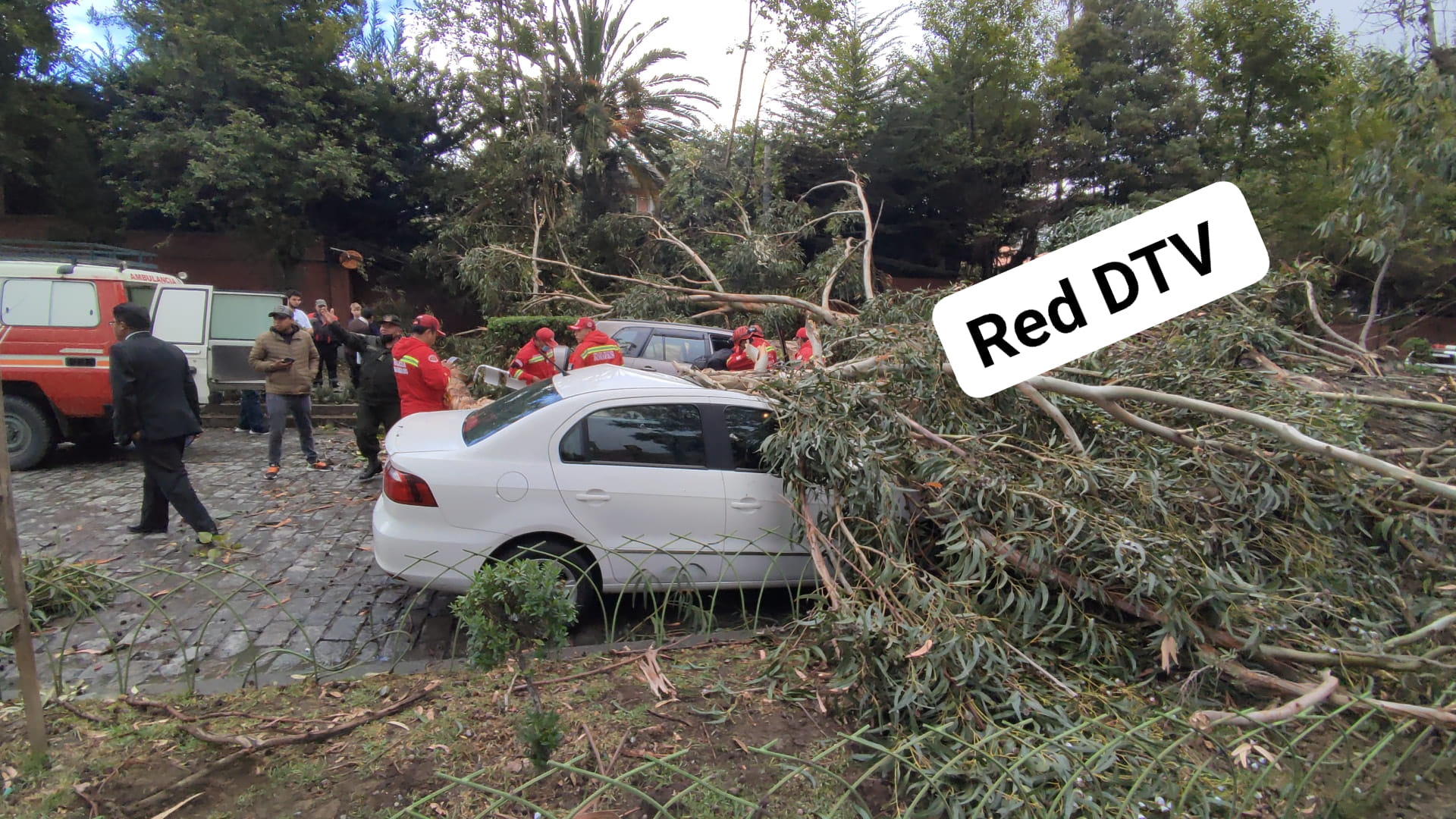 Árbol cae sobre dos vehículos en zona Sur de La Paz deRedes tv