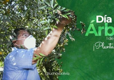 En el Dia del Árbol, Arce expresa su compromiso de proteger este recurso natural