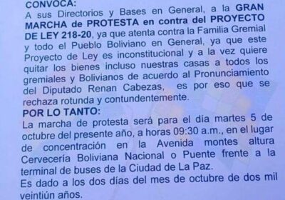 Gremiales de El Alto anuncian marcha en rechazo a ley de Legitimación de Gananci