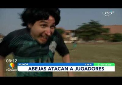 Abejas atacan a jugadores!!