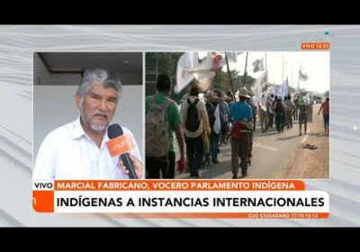 Indígenas acuden a instancias internacionales para exponer sus demandas ante negativa del Gobierno
