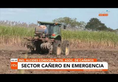 Cañeros en emergencia tras ruptura de negociaciones con el Gobierno por el precio del etanol