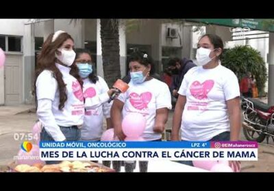 Mes de la lucha contra el cáncer de mama