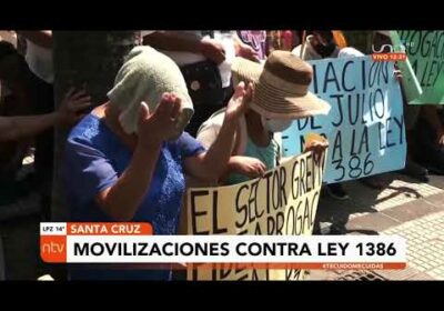 Diversos sectores marcharon y mantuvieron movilizaciones en rechazo a la ley 1386