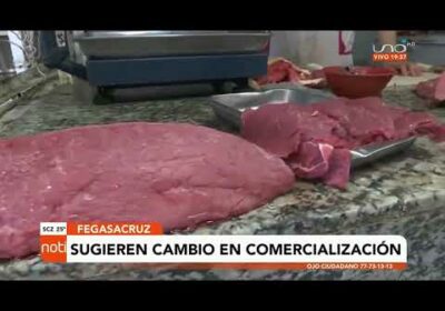 Fegasacruz sugiere cambio al sistema de comercialización y distribución de carne