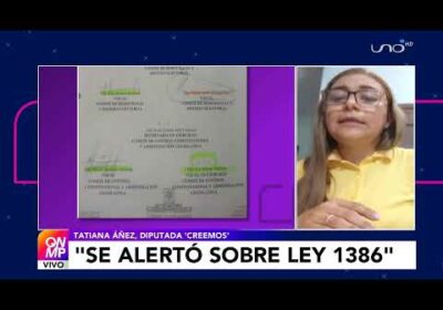 ¿Quiénes firmaron la Ley 1386? Cuestionan a diputados por permitir su aprobación