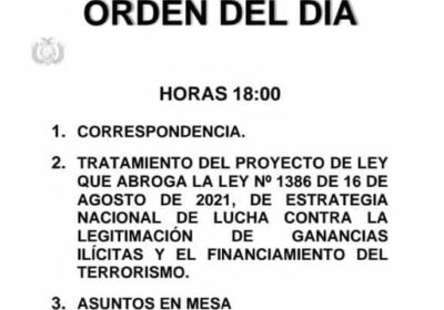 Cámara de diputados convoca a sesión este lunes a hrs. 18:00 para abrogar ley 13