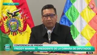 Presidente de Diputados, Freddy Mamani, anuncia sesión para este lunes a las 18: