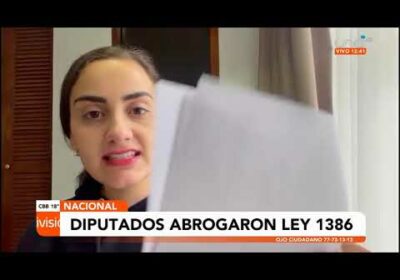 Oposición espera que el Senado apruebe la abrogación de la ley 1386 e insiste en los 2/3