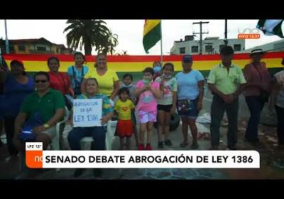 Cámara de diputados aprobó el proyecto para abrogar la polémica ley 1386 y la remite al Senado