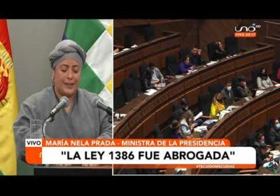 Gobierno abroga oficialmente la Ley 1386