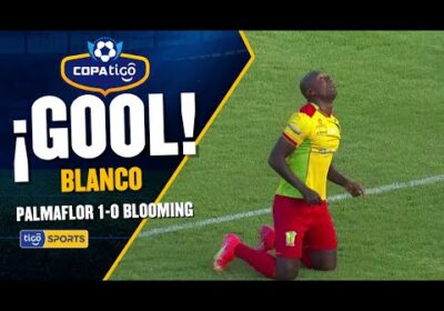 19′ ¡Gol de Palmaflor! Blanco con un bonito disparo colocado anota el primer tanto del cotejo