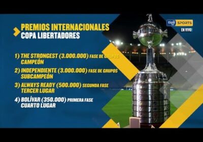 Esto son los premios internacionales en Copa Libertadores y en Copa Sudamericana..