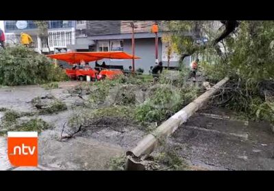 Recoleta: Molle cayó en la avenida Aniceto Padilla| Cochabamba| Notivisión