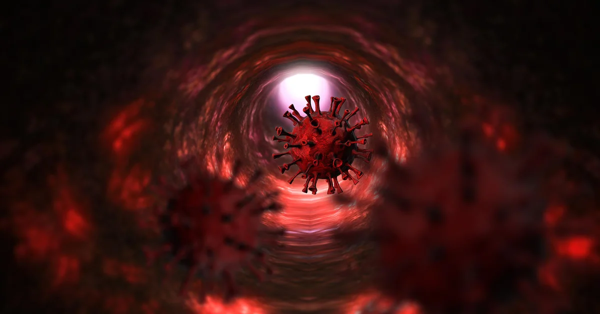 Por qué el COVID-19 podría volverse una enfermedad estacional después de la pandemia