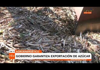 Gobierno garantiza exportación de azúcar