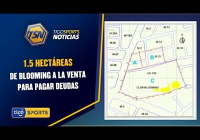 1.5 Hectáreas de Blooming a la venta para pagar deudas. Las ofertas se esperan hasta el 11/01