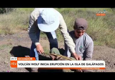 Volcán Wolf inicia erupción en la Isla de Galápagos