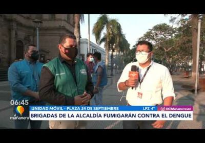 Brigadas de la alcaldía fumigarán contra el dengue