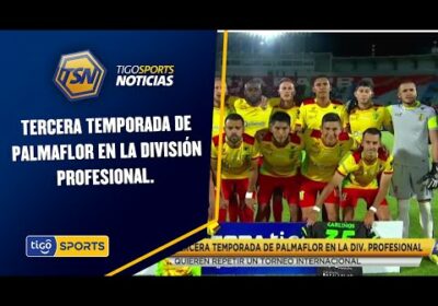 Tercera temporada de Palmaflor en la división profesional. Quieren repetir un Torneo internacional.