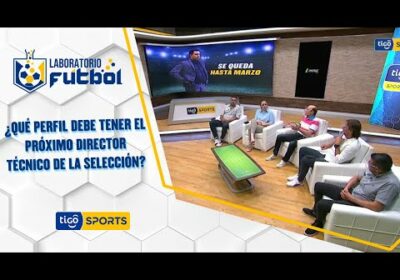 ¿Qué perfil debe tener el próximo director técnico de la Selección?