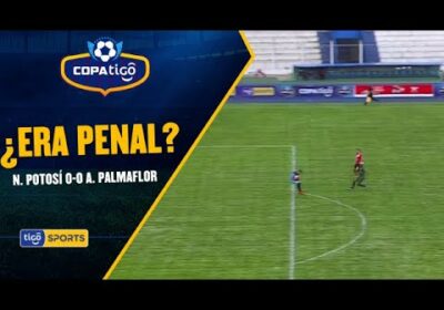 ¿Penal? en  N. Potosí vs Palmaflor, Mustafá pareció agarrar el balón con ambas manos fuera del área