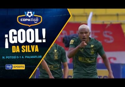 GOL1PALMAFLOR0502