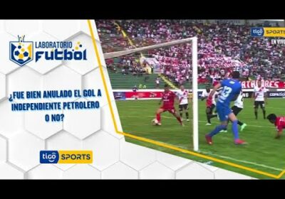 ¿Fue bien anulado el gol a Independiente Petrolero o no?