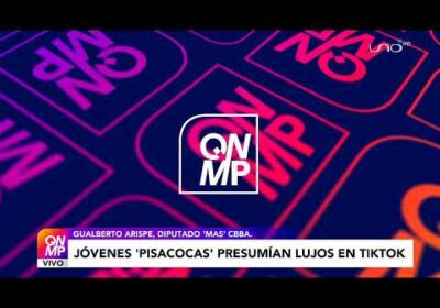 #Bolivia | Debate:  Presentan a tiktokers ‘pisacoca’