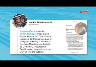 Añez espera poder presentar 17 pruebas  publicas a Relator de la ONU