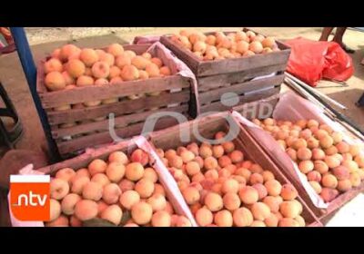 En el municipio de Arbieto, se desarrolló la Feria del Durazno |Notivisión |Cochabamba