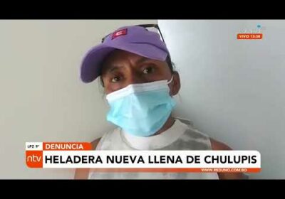 Compró una heladera y resultó ser un nido de chulupis