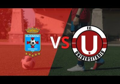 Blooming vs Universitario de Vinto en vivo