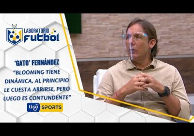 ‘Gato’ Fernández: Blooming tiene dinámica, al principio le cuesta abrirse, pero luego es contundente