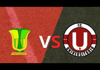 Atletico Palmaflor Universidad de Vinto en vivo