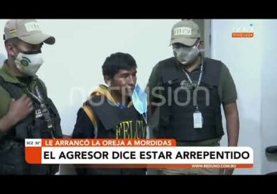 «Estoy arrepentido»: aprehenden al hombre que le arrancó a mordiscos la oreja a su pareja embarazada