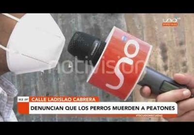 Denuncian que perros de inhaladores atacan a peatones |Notivisión |Cochabamba