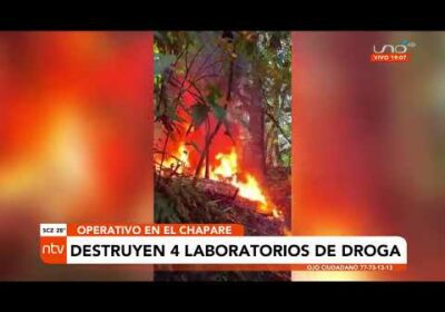 Destruyen 4 laboratorios de drogas en un operativo en el Chapare