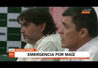 Productores de maíz se declaran en emergencia