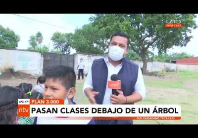 Niños pasan clases bajo un árbol