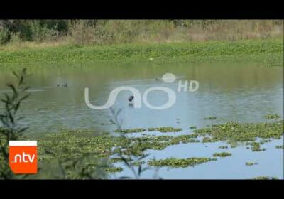 Lluvias mejoran la biodiversidad en la laguna de Coña Coña | Notivisión | Cochabamba