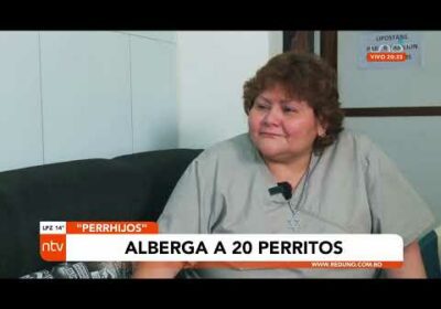 #Perrijos | Ellos me salvaron, comenta la dueña de un refugio