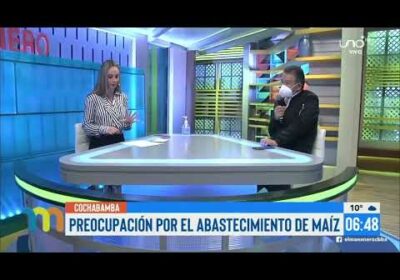 La preocupación por la escasez del maíz crece en el sector agropecuario | Notivisión