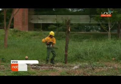 Bomberos forestales se encuentran en capacitación