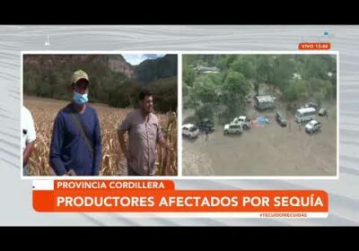 Productores reportan el 100% de perdidas por sequias