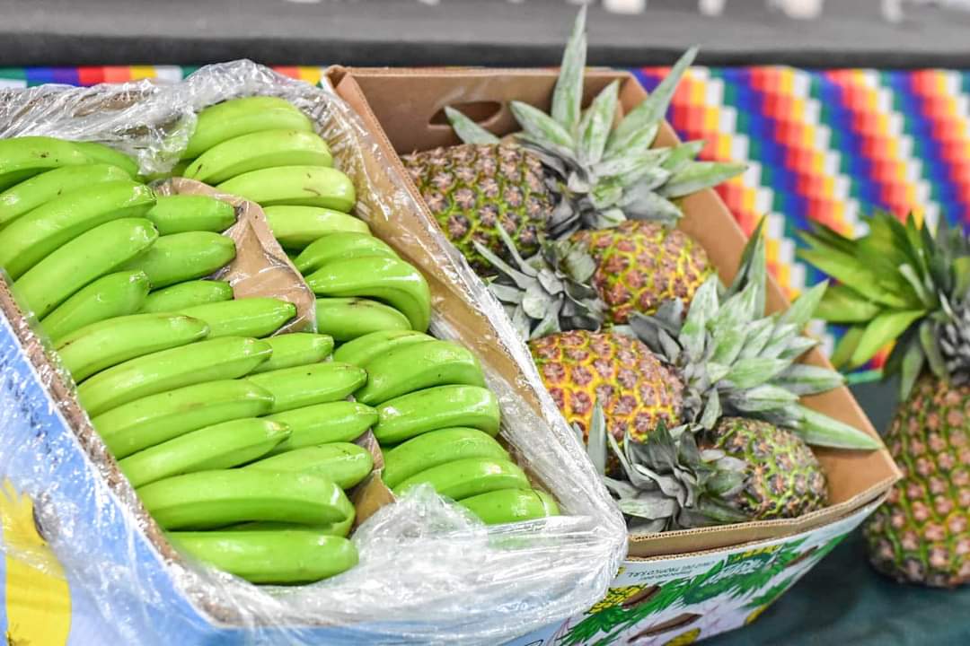 Gobierno invertirá más de un millón de Bs. en infraestructura de apoyo a la producción agropecuaria