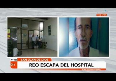 Reo se escapa del hospital