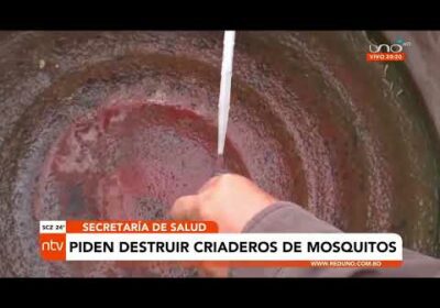 Alerta en Santa Cruz por incremento de casos de Dengue