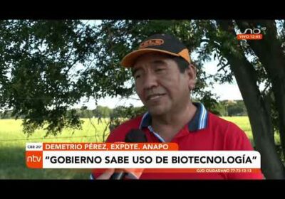 El uso de la biotecnología podría mejorar  la producción de maíz, aseguró el gobierno