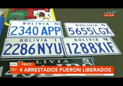 4 arrestados por vender placas ilegales fueron liberados